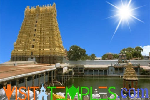 Arulmigu Sankaranarayanaswamy Temple,  Sankarankovil,  Tamil Nadu