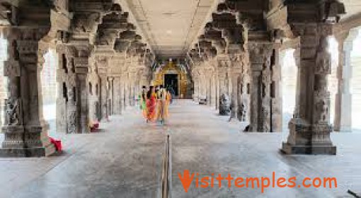 Arulmigu Sankaranarayanaswamy Temple, Sankarankovil, Tenkasi District,  Tamil Nadu