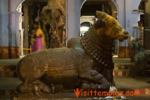 Arulmigu Sankaranarayanaswamy Temple, Sankarankovil, Tenkasi District,  Tamil Nadu