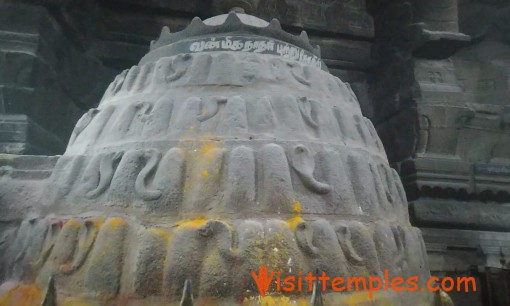 Arulmigu Sankaranarayanaswamy Temple, Sankarankovil, Tenkasi District,  Tamil Nadu