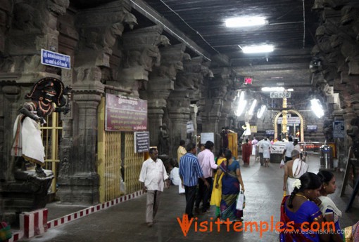 Arulmigu Sankaranarayanaswamy Temple, Sankarankovil, Tenkasi District,  Tamil Nadu