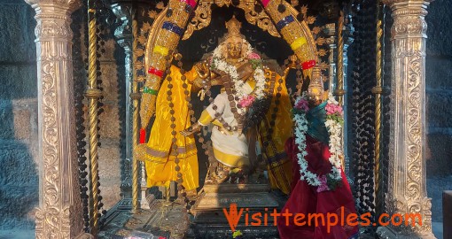 Sri Sivasailanathar Temple, Sivasailam, Thirunelveli District, Tamil Nadu