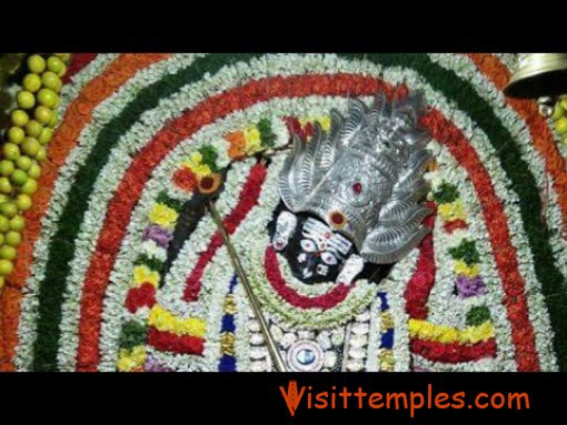 Sri Vada Bhadra Kali Amman or Sri Nisumba Soodhani Amman Temple, Thanjavur, Tamil Nadu