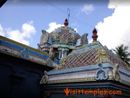 Sri Patanjali Manohar Temple, Vilamal, Thiruvarur District, Tamil Nadu