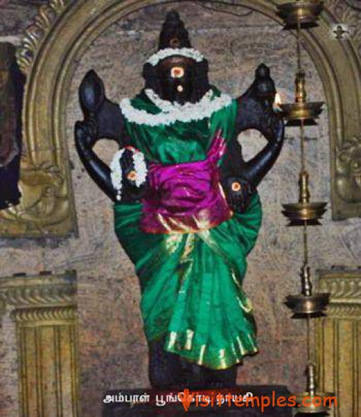 Sri Vyagrapureeswarar Temple, Omampuliyur, Cuddalore District, Tamil Nadu