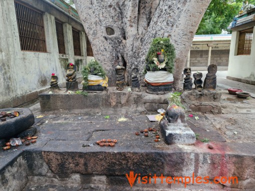 Thiruvappudaiyar Temple or Thiruvappanur Temple, Sellur, Madurai, Tamil Nadu