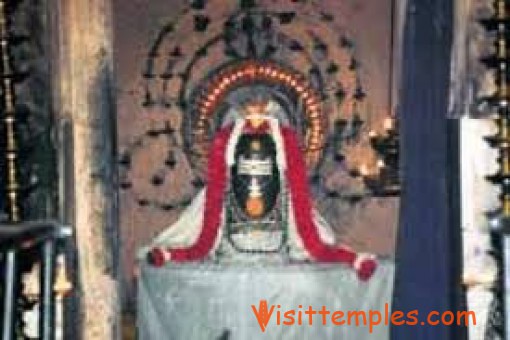 Arulmigu Padaleeswarar Temple, Thirupathiripuliyur, Cuddalore District, Tamil Nadu