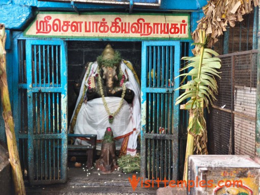 Arulmigu Sankaranarayanaswamy Temple, Sankarankovil, Tenkasi District,  Tamil Nadu